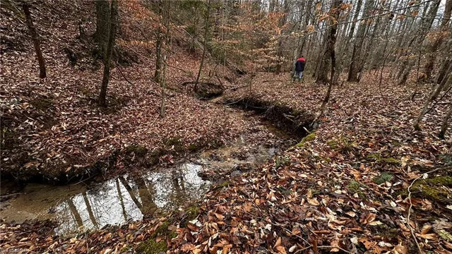 $916,800 | 0 Tom Dula Road, Ferguson, NC 28624