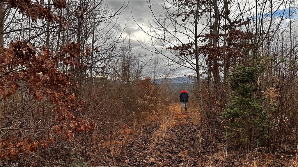 0 Tom Dula Road Ferguson, NC 28624 - Photo 42 of 47