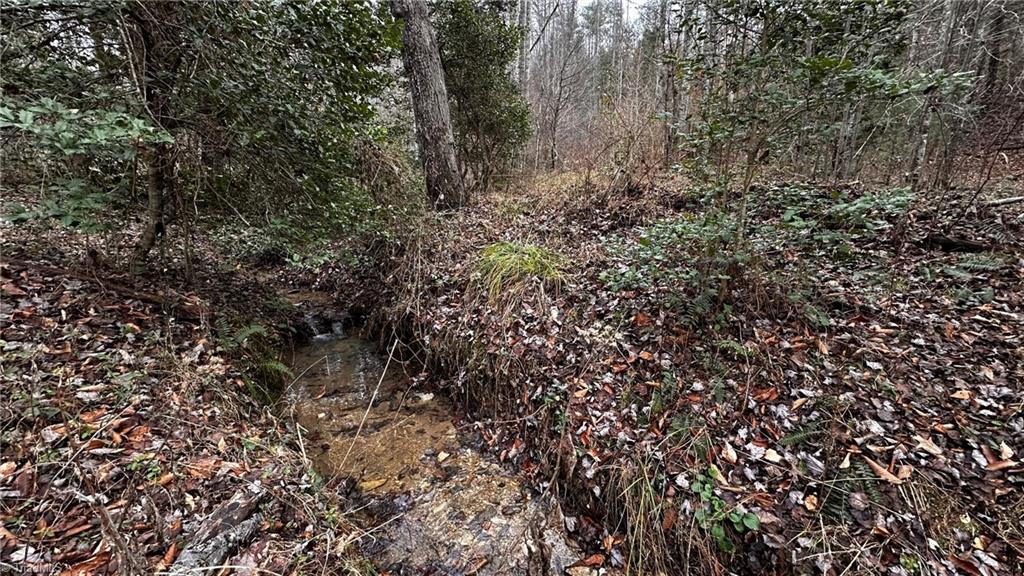 0 Tom Dula Road Ferguson, NC 28624 - Photo 43 of 46