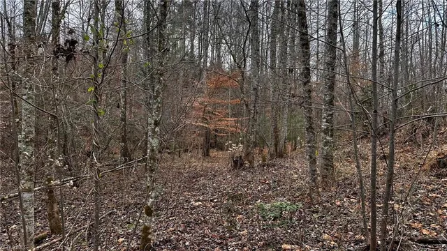 $916,800 | 0 Tom Dula Road, Ferguson, NC 28624