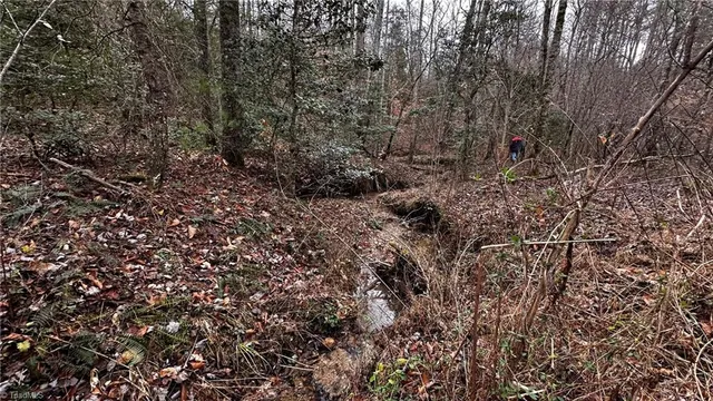 $916,800 | 0 Tom Dula Road, Ferguson, NC 28624