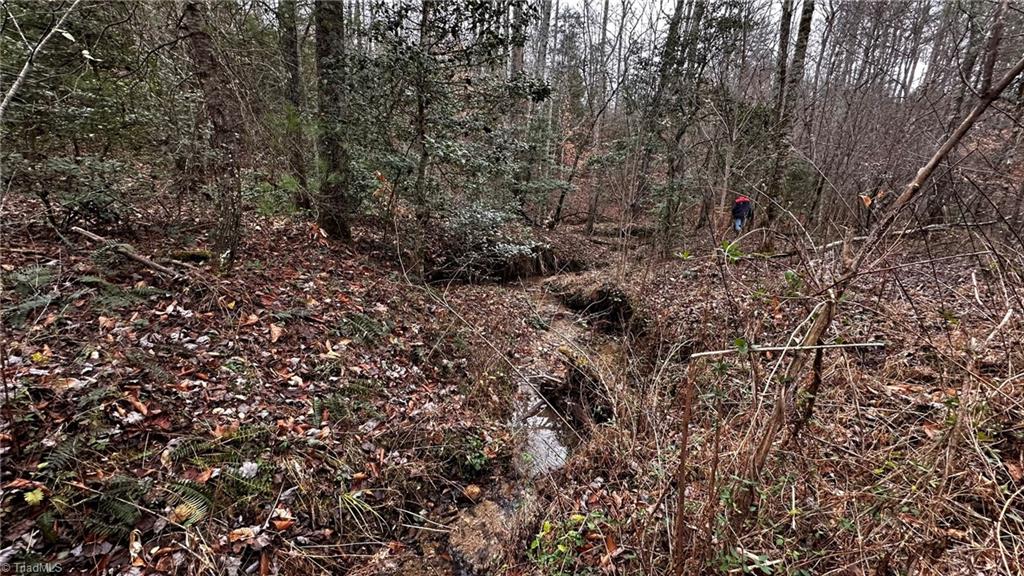 0 Tom Dula Road Ferguson, NC 28624 - Photo 45 of 47