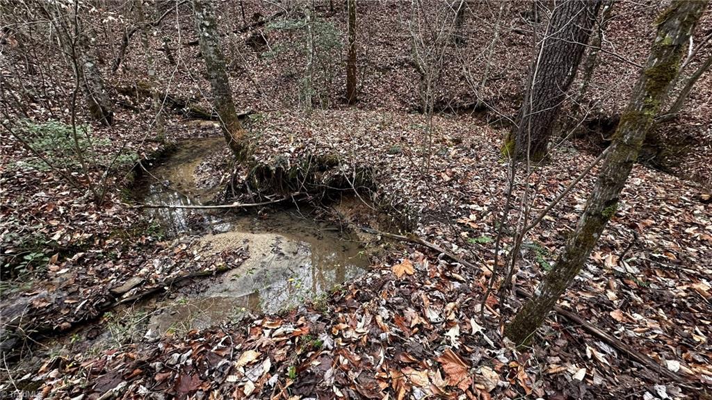 0 Tom Dula Road Ferguson, NC 28624 - Photo 46 of 46