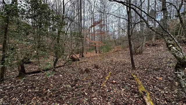 $916,800 | 0 Tom Dula Road, Ferguson, NC 28624