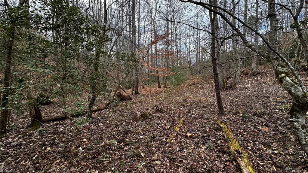 0 Tom Dula Road Ferguson, NC 28624 - Photo 46 of 47