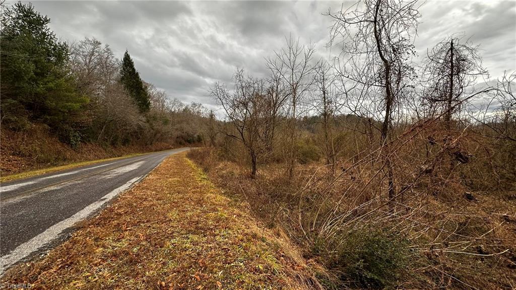 0 Tom Dula Road Ferguson, NC 28624 - Photo 5 of 46