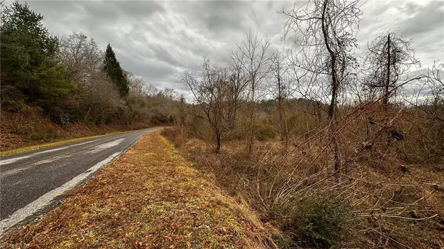 $916,800 | 0 Tom Dula Road, Ferguson, NC 28624