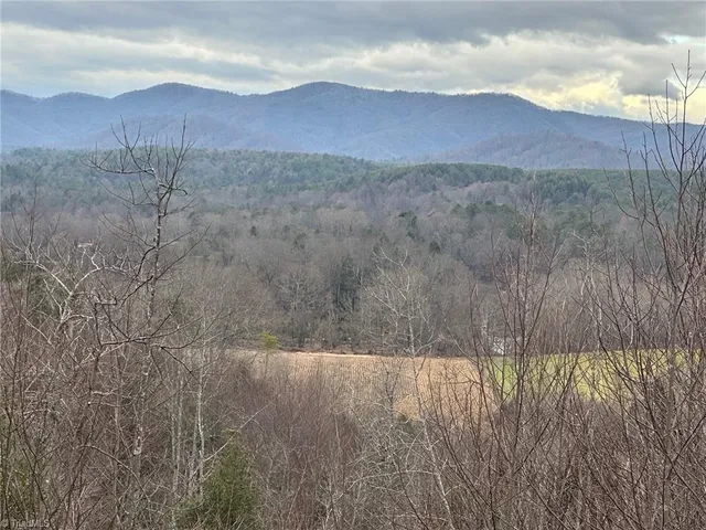 $916,800 | 0 Tom Dula Road, Ferguson, NC 28624