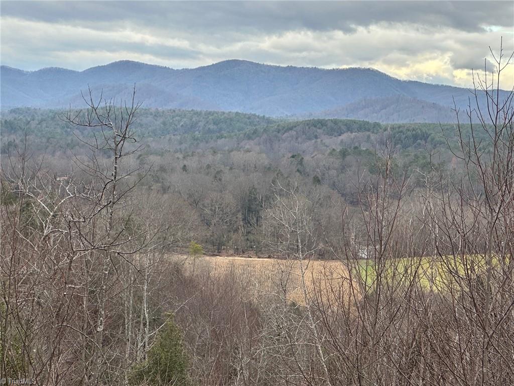 0 Tom Dula Road Ferguson, NC 28624 - Photo 8 of 47