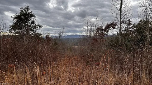 $916,800 | 0 Tom Dula Road, Ferguson, NC 28624