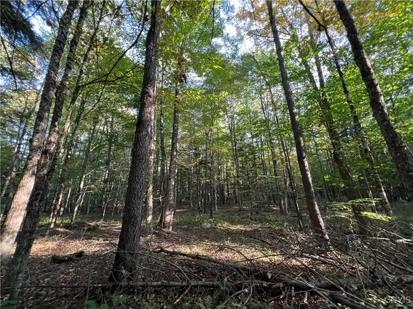 $36,500 | 7148 Maple Drive, Watson, NY 13343