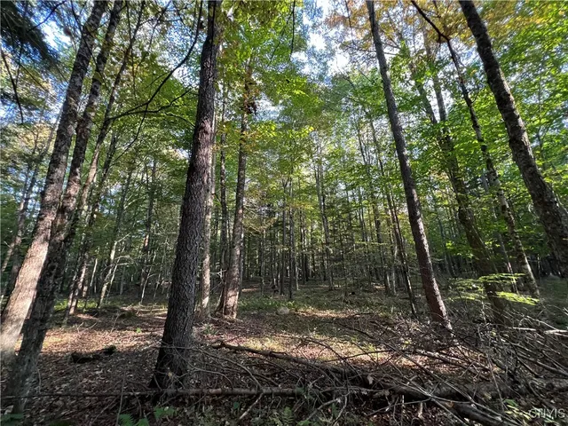 $39,900 | 7148 Maple Drive, Watson, NY 13343