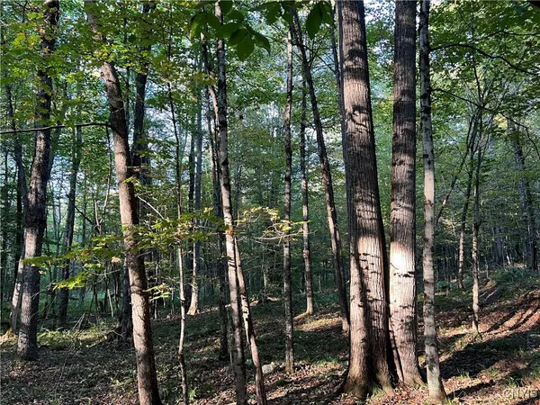 $36,500 | 7148 Maple Drive, Watson, NY 13343