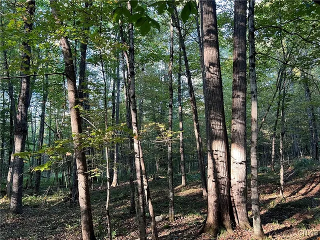 $39,900 | 7148 Maple Drive, Watson, NY 13343