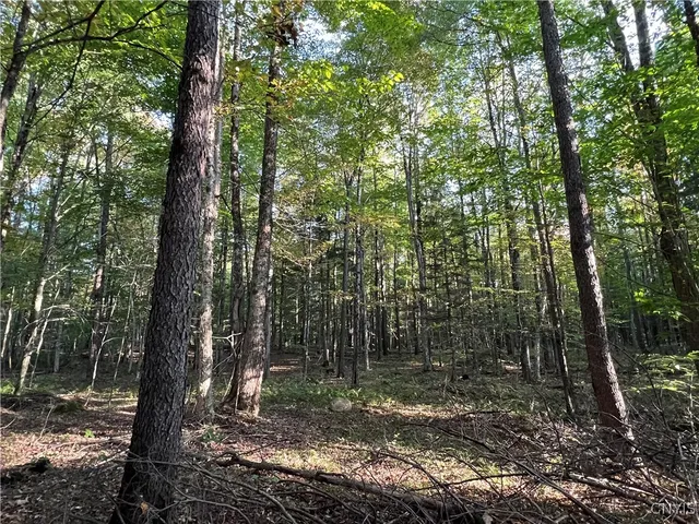 $39,900 | 7148 Maple Drive, Watson, NY 13343