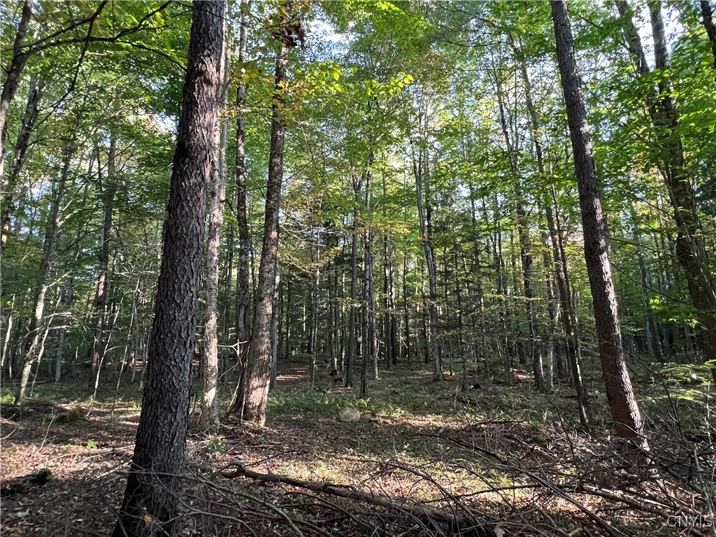 7148 Maple Drive Watson, NY 13343 - Photo 3 of 11