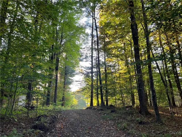 $39,900 | 7148 Maple Drive, Watson, NY 13343