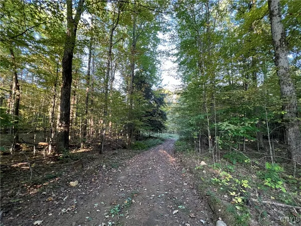 $36,500 | 7148 Maple Drive, Watson, NY 13343