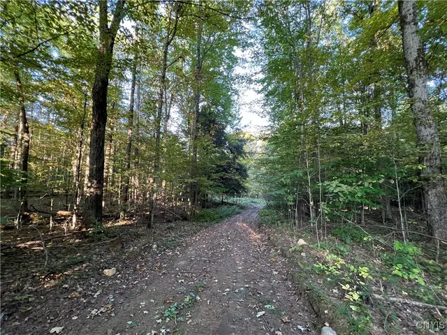 $39,900 | 7148 Maple Drive, Watson, NY 13343