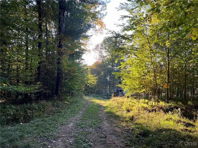 $39,900 | 7148 Maple Drive, Watson, NY 13343