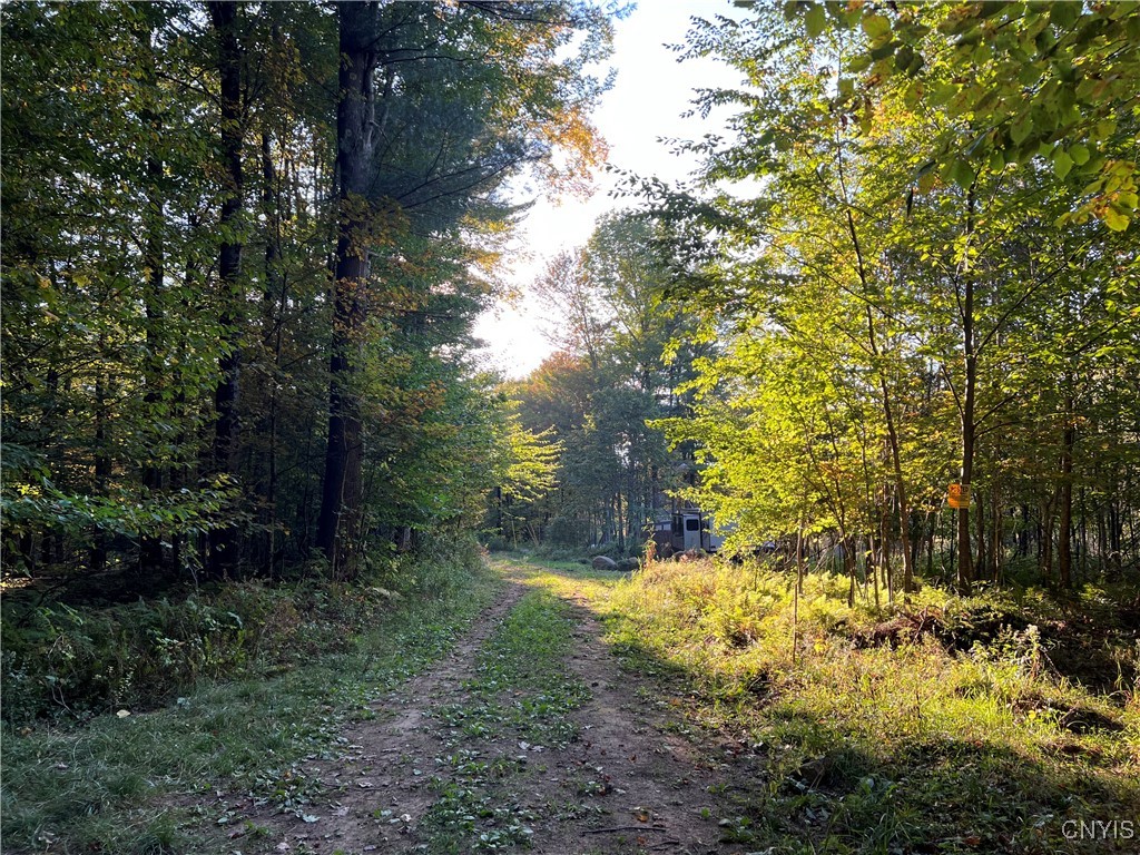7148 Maple Drive Watson, NY 13343 - Photo 9 of 11