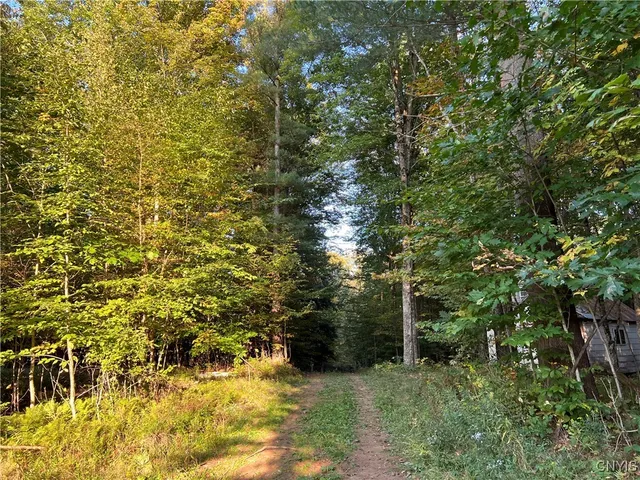 $39,900 | 7148 Maple Drive, Watson, NY 13343