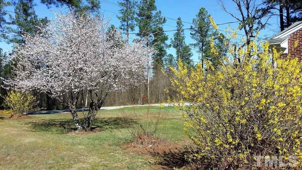 219 Buffalo Road Clarksville, VA 23927 - Photo 21 of 25 Gallery Image 21