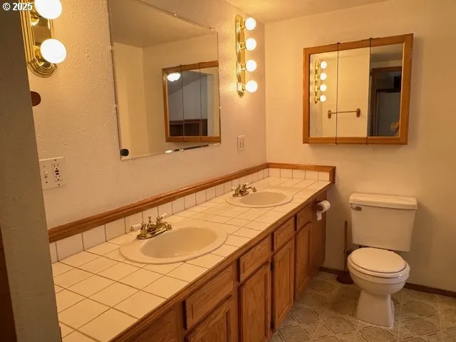 a bathroom with a sink a toilet and mirror