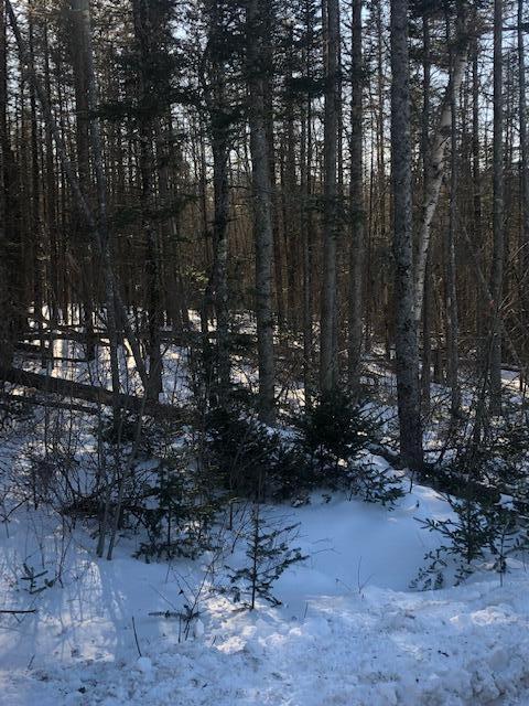 28 Bowen Road Searsport, ME 04974 - Photo 4 of 4 IMG_4599