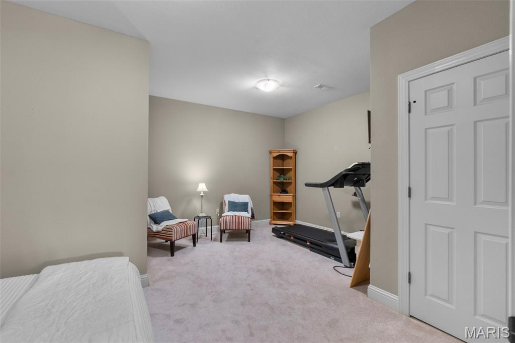 145 Saddlebrooke Ridge Jackson, MO 63755 - Photo 57 of 66