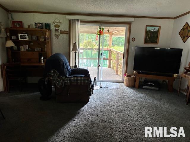 15170 East Gibson Road Mount Vernon, IL 62864 - Photo 9 of 54