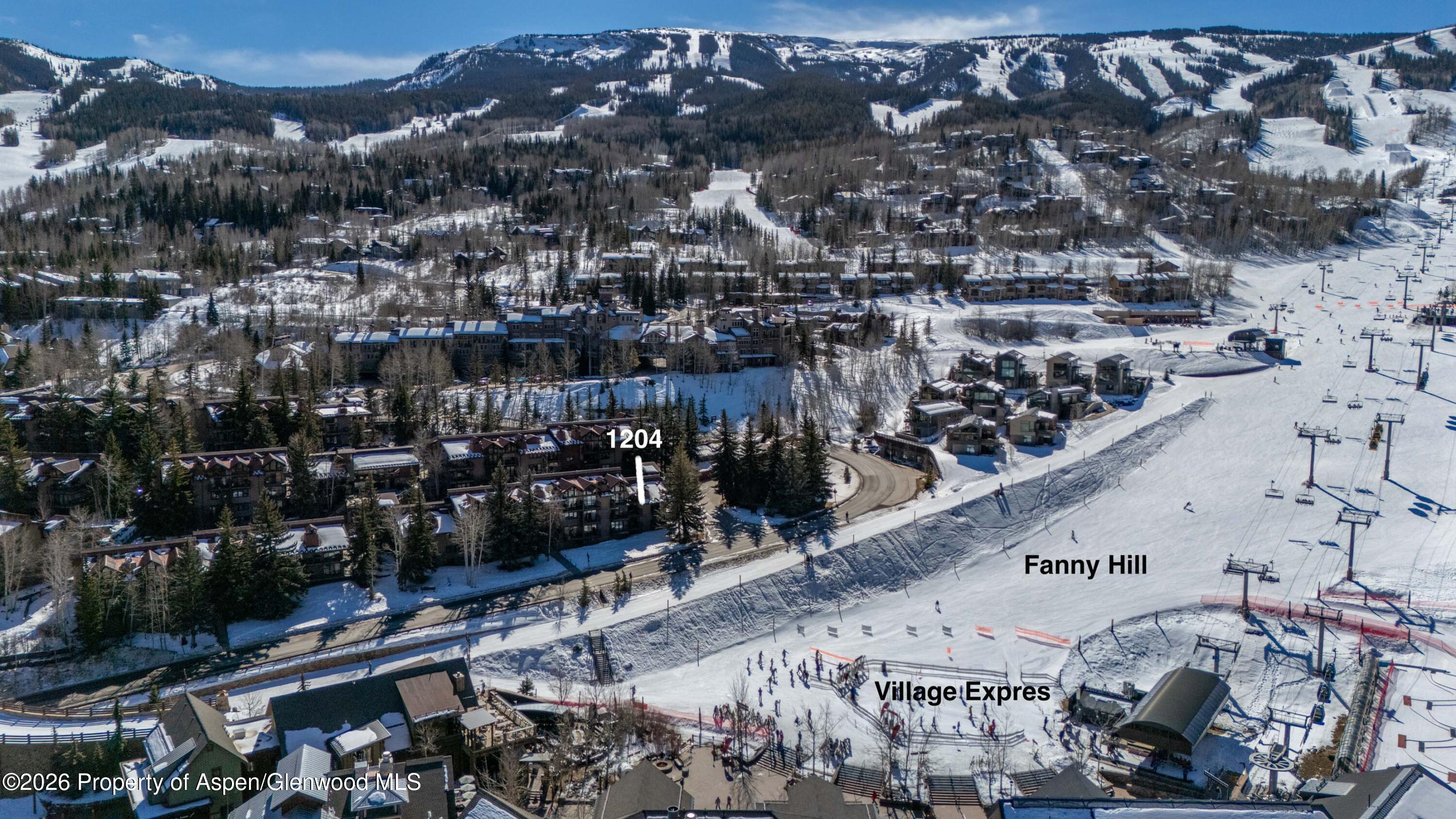 400 Wood Road, Unit 1204 Snowmass Village, CO 81615 - Photo 16 of 25 Location2