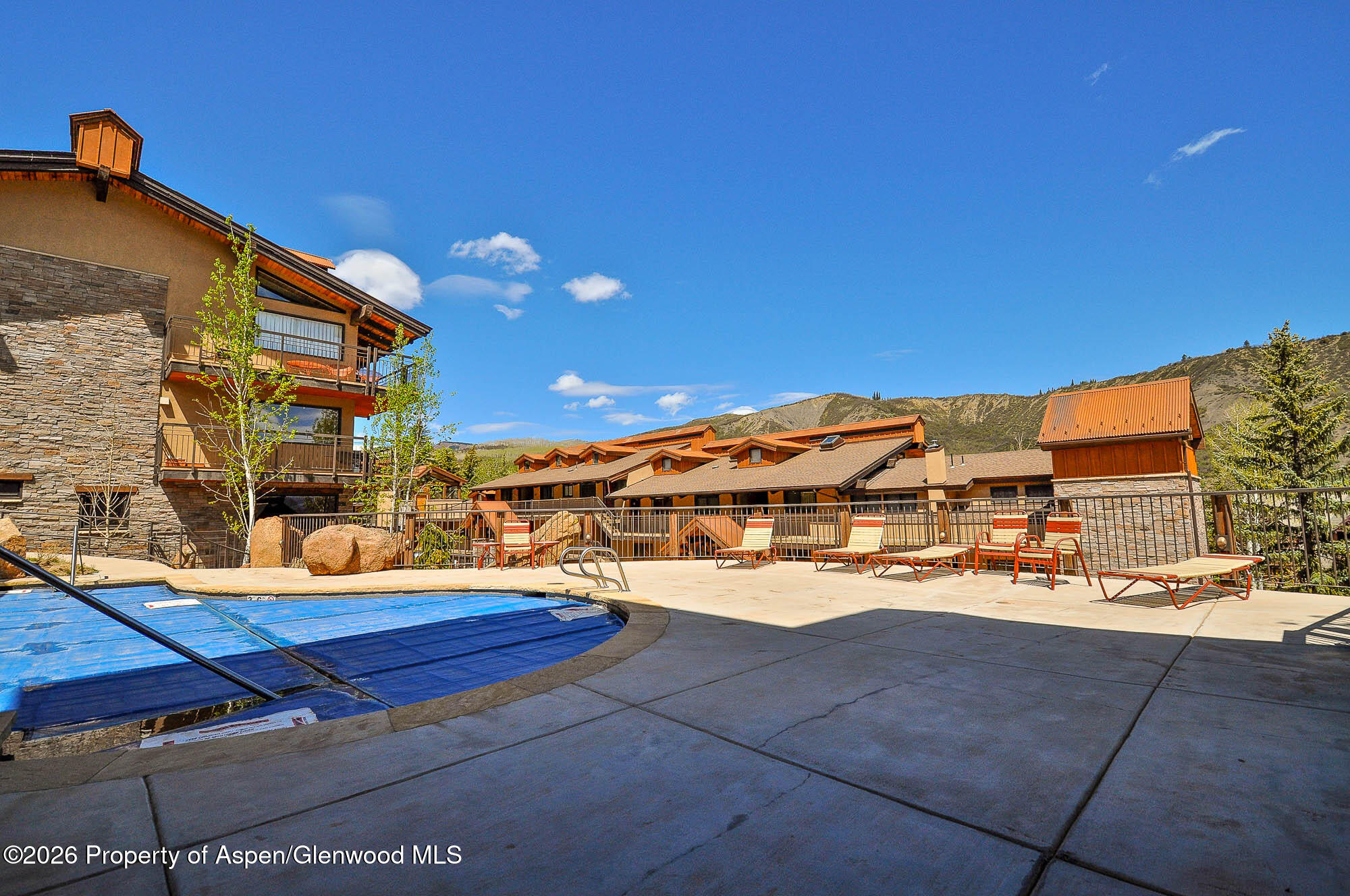 400 Wood Road, Unit 1204 Snowmass Village, CO 81615 - Photo 22 of 25 pool