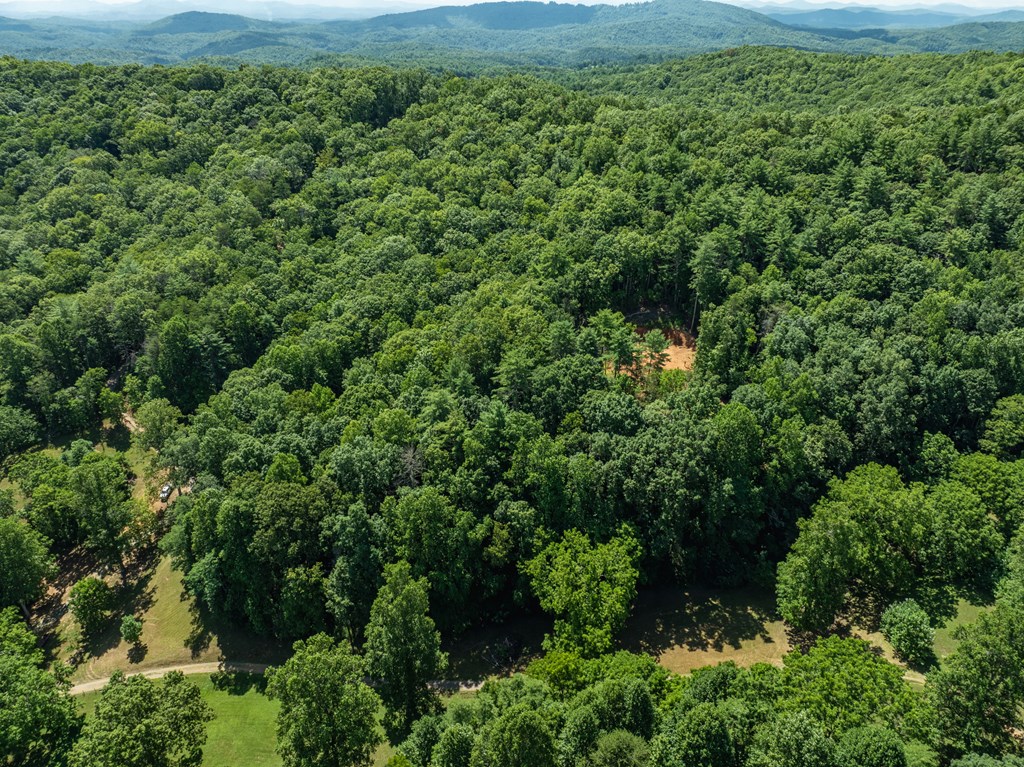 2039 Crowe Road Murphy, NC 28906 - Photo 26 of 36 Gallery Image 26