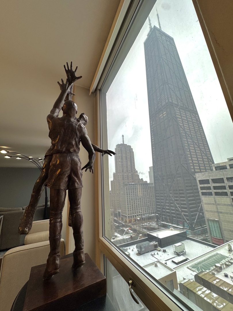 111 East Chestnut Street, Unit 17K Chicago, IL 60611 - Photo 8 of 32