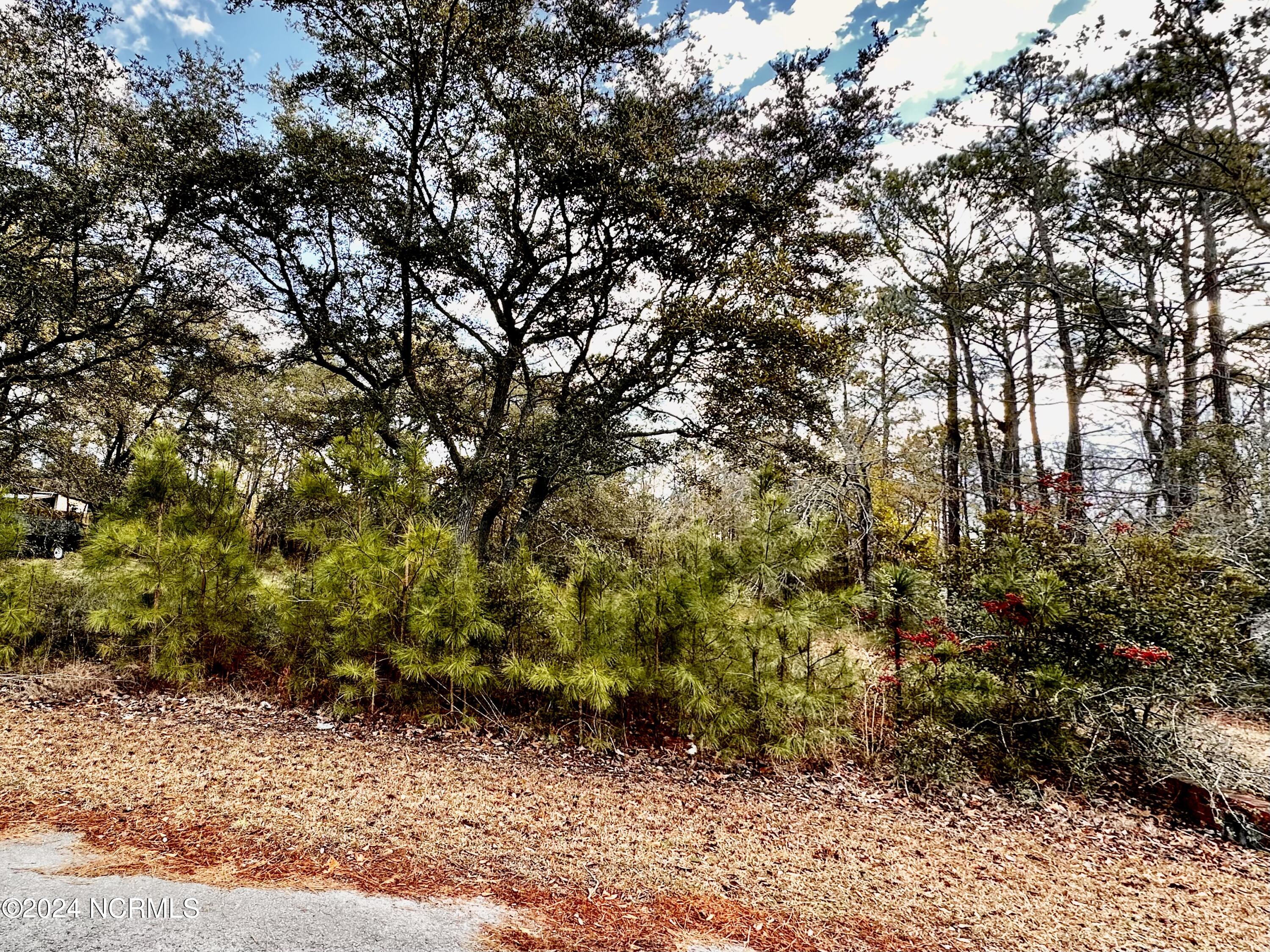 4504 Rounding Run Road Southwest Shallotte, NC 28470 - Photo 2 of 2 F54A05A6-B95D-4A8C-9352-2B8B0F17C0CC