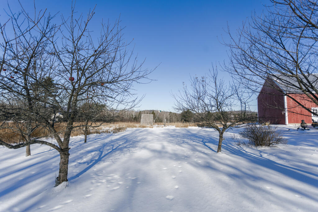 22 Old Jay Hill Road Jay, ME 04239 - Photo 51 of 67 taylor-kaminsky-photo-6