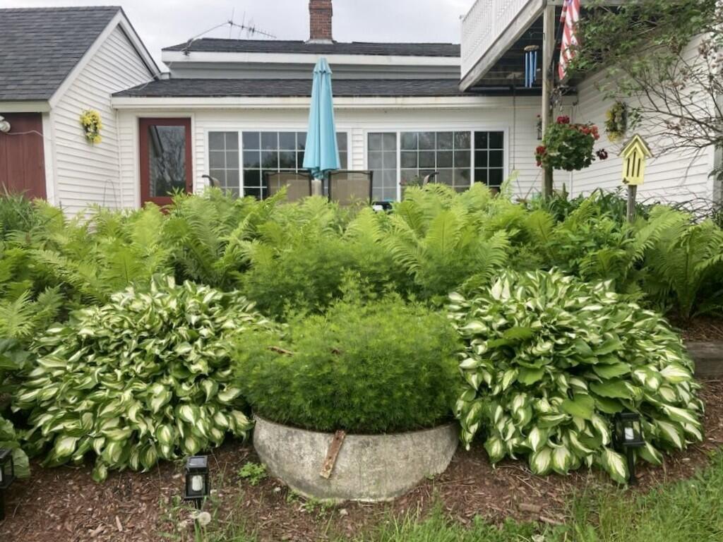 22 Old Jay Hill Road Jay, ME 04239 - Photo 59 of 67 068ee89e-595a-4cd9-bde5-deac96c463f4