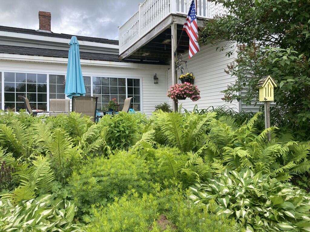 22 Old Jay Hill Road Jay, ME 04239 - Photo 60 of 67 IMG_0434