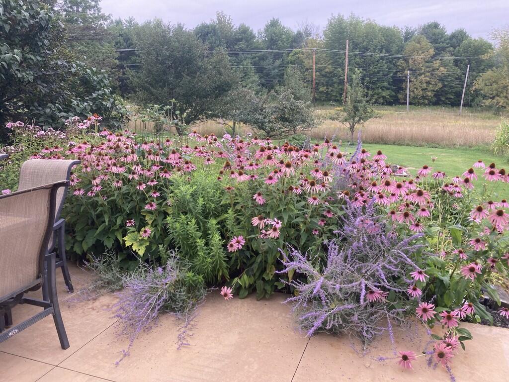 22 Old Jay Hill Road Jay, ME 04239 - Photo 61 of 67 IMG_0208