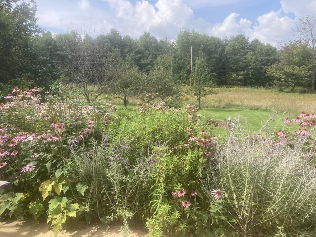 22 Old Jay Hill Road Jay, ME 04239 - Photo 64 of 67 2ba480b6-bc78-4586-849c-4986887b715b