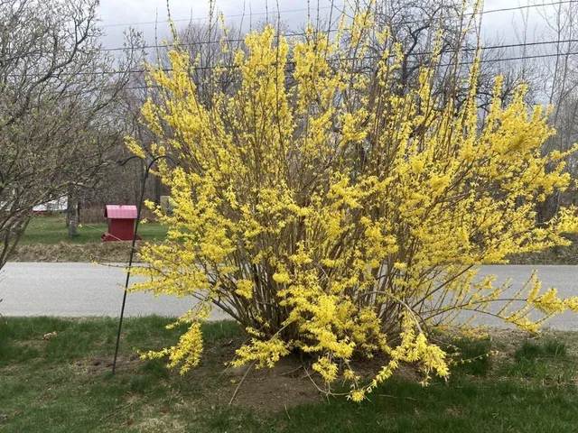 $479,000 | 22 Old Jay Hill Road, Jay, ME 04239