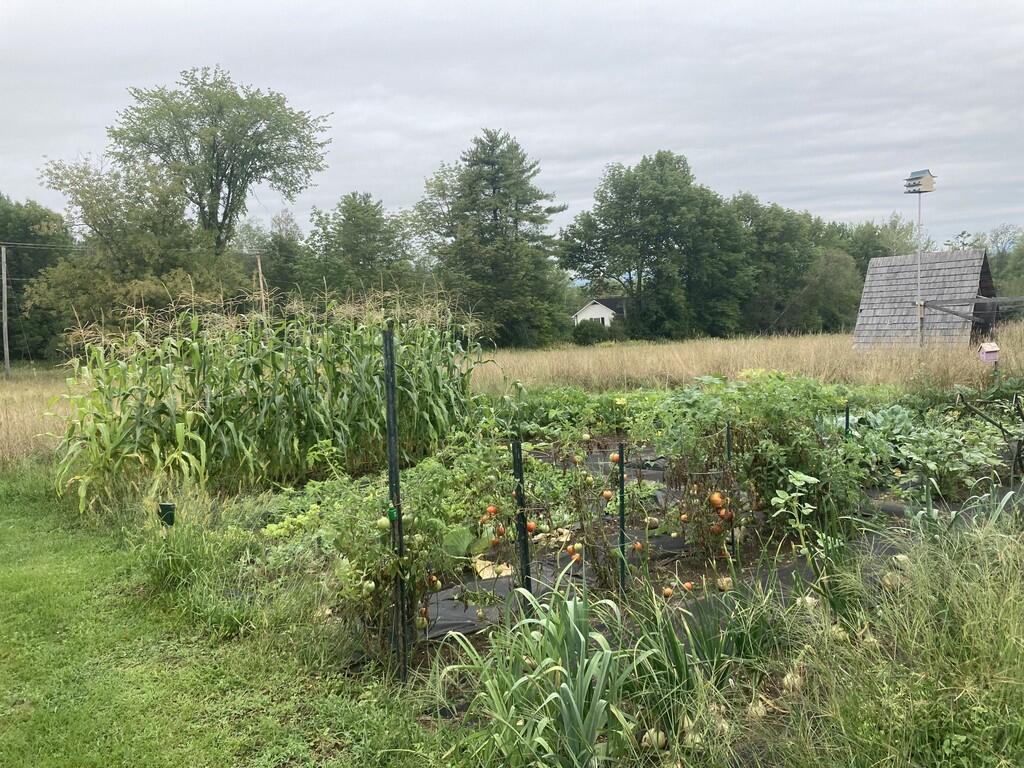 22 Old Jay Hill Road Jay, ME 04239 - Photo 67 of 67 IMG_0206