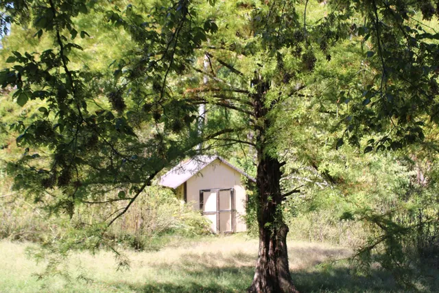 a tree in front of a house
