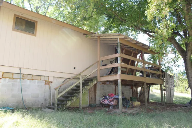 a view of a big room with a large tree