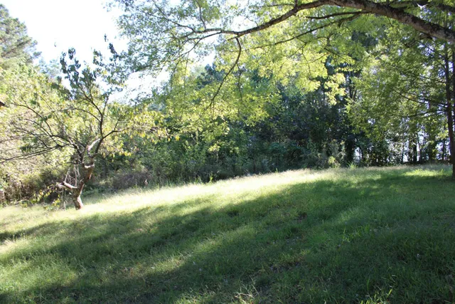 a view of outdoor space with deck and green space