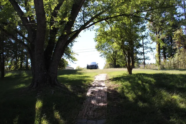 a view of backyard with large trees