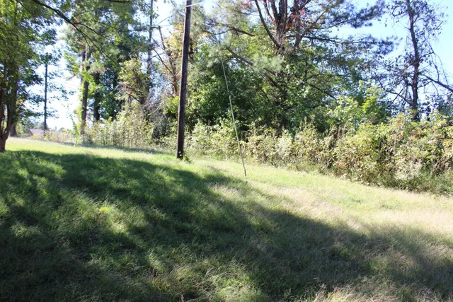 a view of field with trees in background