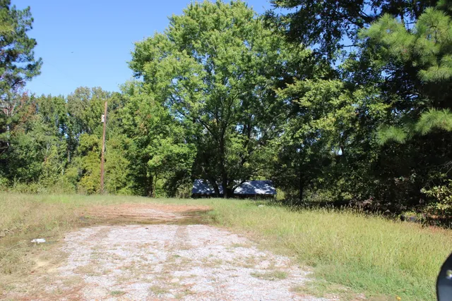 a view of yard with green space
