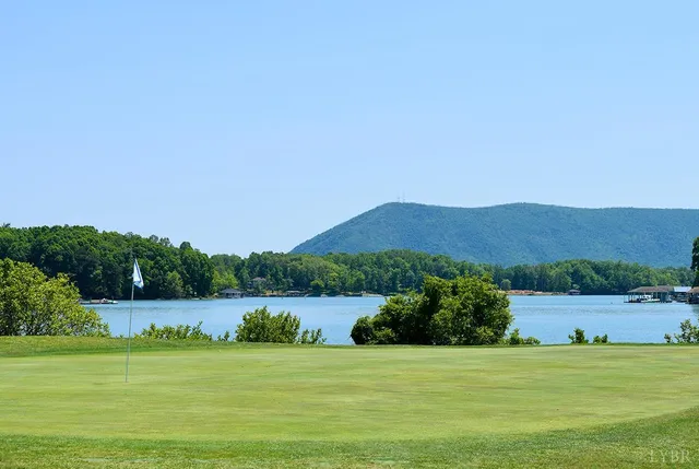 a view of a lake with a mountain in the background